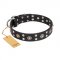 "Refined Essence" FDT Artisan Black Leather Bulldog Collar with Silvery Studs