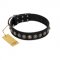 "Black Eagle" Handcrafted FDT Artisan Black Leather Bulldog Collar with Silver-Like Adornments