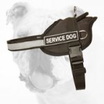 Police Nylon Bulldog Harness with a Reflective Trim