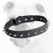 Spiked Leather Bulldog Collar