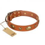 "Visual Magic" FDT Artisan Tan Leather Bulldog Collar for Daily Activities