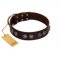 "King Arthur" FDT Artisan Brown Leather Bulldog Collar with Spiky Plates
