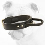 Dog training collar with handle for Bulldog trainings