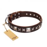 'Perfect Impression' FDT Artisan Bulldog Brown Leather Dog Collar with Silvery Square Studs - 1 1/2 inch (40 mm) Wide
