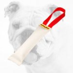 Hand-Made Fire Hose Bulldog Bite Tug With Handle