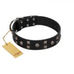 "Fire Eyes" Designer Handmade FDT Artisan Black Leather Bulldog Collar