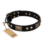 "Biker Style" FDT Artisan Black Leather Bulldog Collar with Old Bronze Look Plates and Skulls
