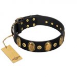 "Venerable Pawty" FDT Artisan Black Leather Bulldog Collar with Old Bronze-like Ovals and Studs