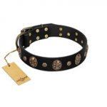 Pirate's Spell' FDT Artisan Black Leather Bulldog Collar with Engraved Studs and Medallions