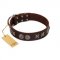 "Silver Sunset" Designer Handmade FDT Artisan Brown Leather Bulldog Collar