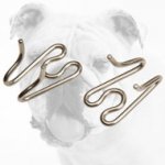 High Quality Herm Sprenger Stainless Steel Links for Bulldog Pinch Collar