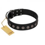 "Silent Star" Handmade FDT Artisan Designer Black Leather Bulldog Collar with Engraved Plates