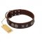 "Antique Style" Designer Handmade FDT Artisan Brown Leather Bulldog Collar