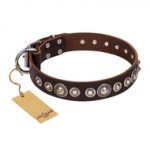 "Step and Sparkle" FDT Artisan Glamorous Studded Brown Leather Bulldog Collar