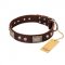"Pirate Skull" FDT Artisan Brown Leather Bulldog Collar with Old Silver Look Plates and Skulls
