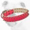 Spiked Pink Walking Leather Bulldog Collar