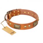 "Saucy Nature" FDT Artisan Tan Leather Bulldog Collar with Old Bronze Look Plates and Skulls