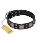 "Sun in Shining" Modern FDT Artisan Black Leather Bulldog Collar with Studs and Stars
