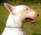Bull Chain Choke dog collar for English Bull Terrier