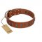 "Silver Century" Fashionable FDT Artisan Tan Leather Bulldog Collar with Silver-Like Plates