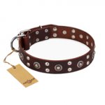"Pirate Treasure" FDT Artisan Exciting Brown Leather Bulldog Collar with Studs