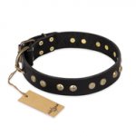"Black Elegance" FDT Artisan Leather Bulldog Collar with Round Studs