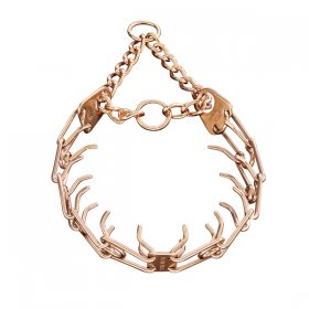 Bulldog Prong Dog Collar for Training