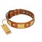 "Mutt The Daredevil" FDT Artisan Tan Leather Bulldog Collar with Old Bronze-like Skulls and Plates