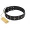 "Star Excitement" Modern FDT Artisan Black Leather Bulldog Collar with Studs and Stars