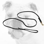 Excellent Leather Bulldog Leash for Dog Shows