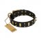 "Medieval Style" FDT Artisan Leather Bulldog Collar with Brass Plates and Spikes
