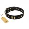 "De Luxe" FDT Artisan Black Leather Bulldog Collar with Old Bronze-like Plates and Studs