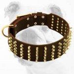 Fabulous Wide Leather Bulldog Collar with Brass Spikes
