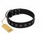 "Flower Rhapsody" FDT Artisan Premium Quaulity Black Leather Bulldog Collar