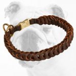 Exclusive Braided Leather Bulldog Choke Collar for Training and Walking