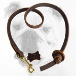 Short Leather Bulldog Leash for Professional Training