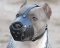 Everyday Leather Muzzle-Dog Muzzle for BullyPit