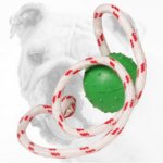 Dotted Rubber Bulldog Ball for Water Training