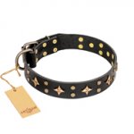 'A La Mode' FDT Artisan Handcrafted Black Leather Bulldog Collar