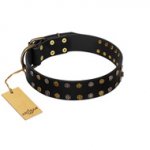 "Star Way" FDT Artisan Black Leather Bulldog Collar with Bronze-like and Silver-like Star Studs