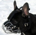 French Bulldog Wire Cage Muzzle with Soft Padded Nose Area