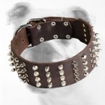 Unique Leather Bulldog Collar with Spikes and Pyramids