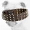 Spiked Wide Leather Bulldog Collar
