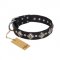 'Silver Charm' FDT Artisan Leather Bulldog Collar with Studs and Plates