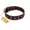 "Skull Valley" Handcrafted FDT Artisan Brown Leather Bulldog Collar with Skulls