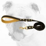 Gorgeous Beautifully Decorated Walking Leather Bulldog Leash