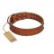 "Star Light" Stylish FDT Artisan Tan Leather Bulldog Collar with Silver-Like Studs