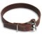 Best economic solution leather dog collar for all breeds