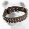 Trendy Leather Bulldog Collar with Spikes and Studs