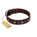 "Stellar Fairy " FDT Artisan Brown Leather Bulldog Collar with Chrome-plated Star-like Decorations